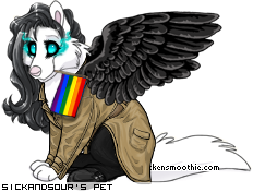 Dressed pet