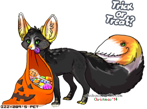 Dressed pet
