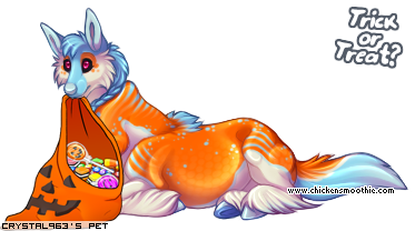 Dressed pet