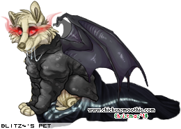 Dressed pet