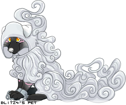Dressed pet