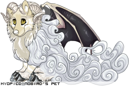 Dressed pet