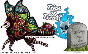 Dressed pet