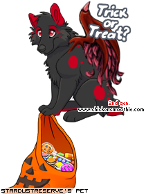 Dressed pet