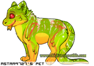 Dressed pet