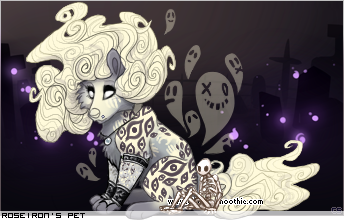 Dressed pet