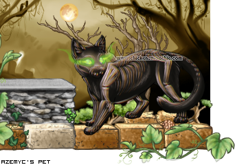 Dressed pet