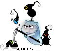 Dressed pet