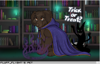 Dressed pet