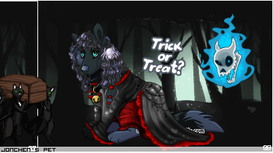 Dressed pet