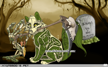 Dressed pet