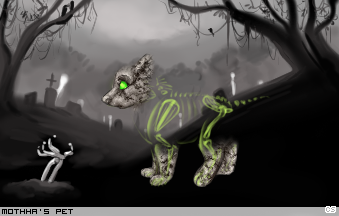 Dressed pet