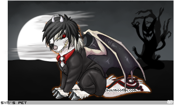 Dressed pet