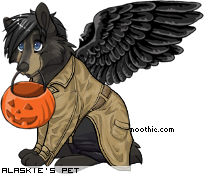 Dressed pet