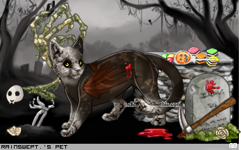 Dressed pet