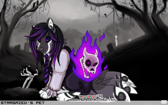 Dressed pet