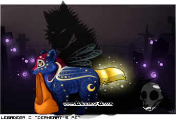 Dressed pet
