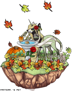 Dressed pet