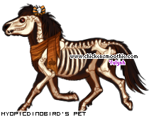 Dressed pet