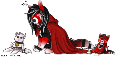 Dressed pet