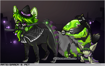 Dressed pet