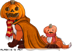 Dressed pet