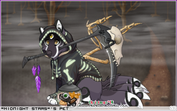 Dressed pet