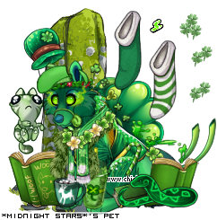 Dressed pet