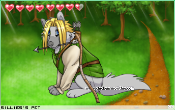 Dressed pet