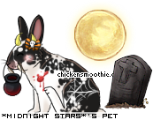 Dressed pet