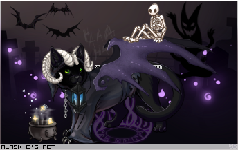 Dressed pet