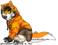 Dressed pet