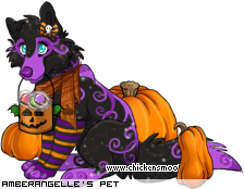 Dressed pet