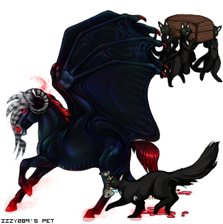 Dressed pet