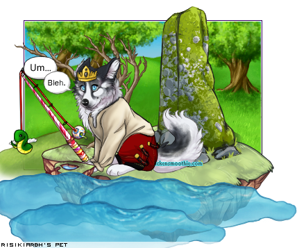 Dressed pet