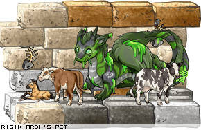 Dressed pet