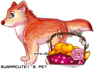 Dressed pet