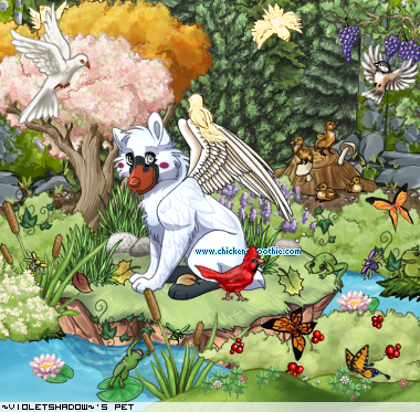 Dressed pet