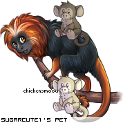 Dressed pet