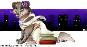Dressed pet