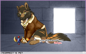 Dressed pet