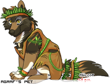 Dressed pet