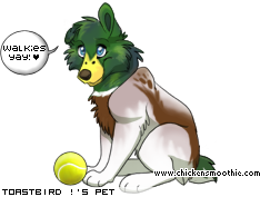 Dressed pet