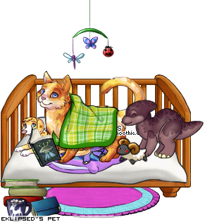 Dressed pet