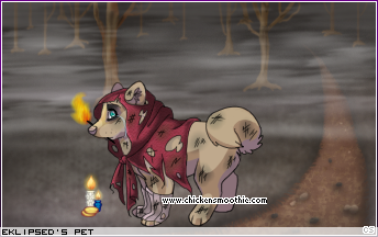 Dressed pet