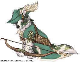 Dressed pet
