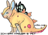 Dressed pet