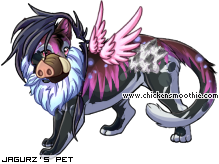Dressed pet