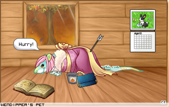 Dressed pet