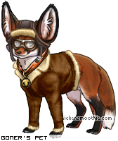 Dressed pet